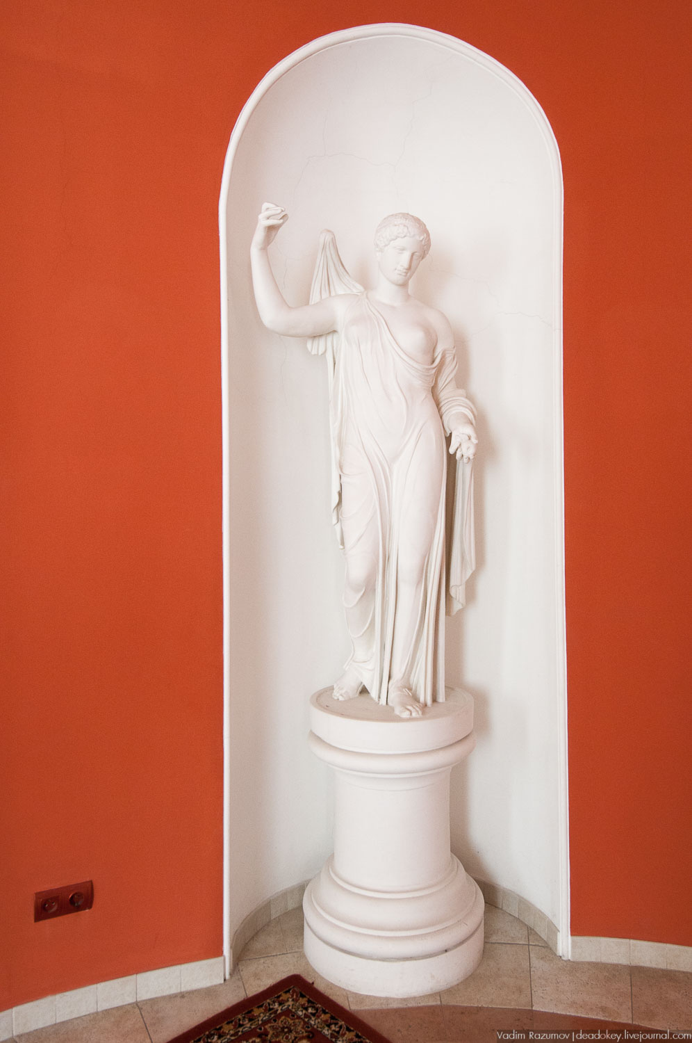 усадьба Введенское, интерьеры главного дома, Фото Вадим Разумов, Летопись Русской усадьбы