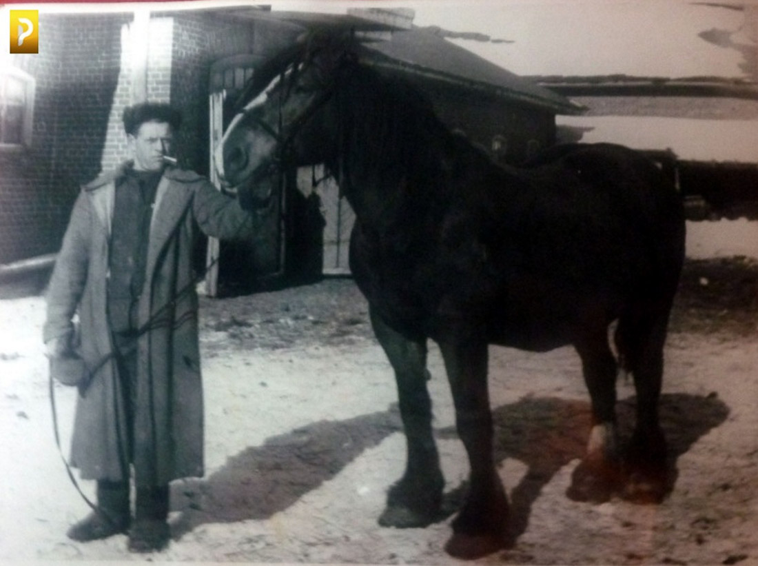 усадьба Рассказово (Арженка) Асеевых