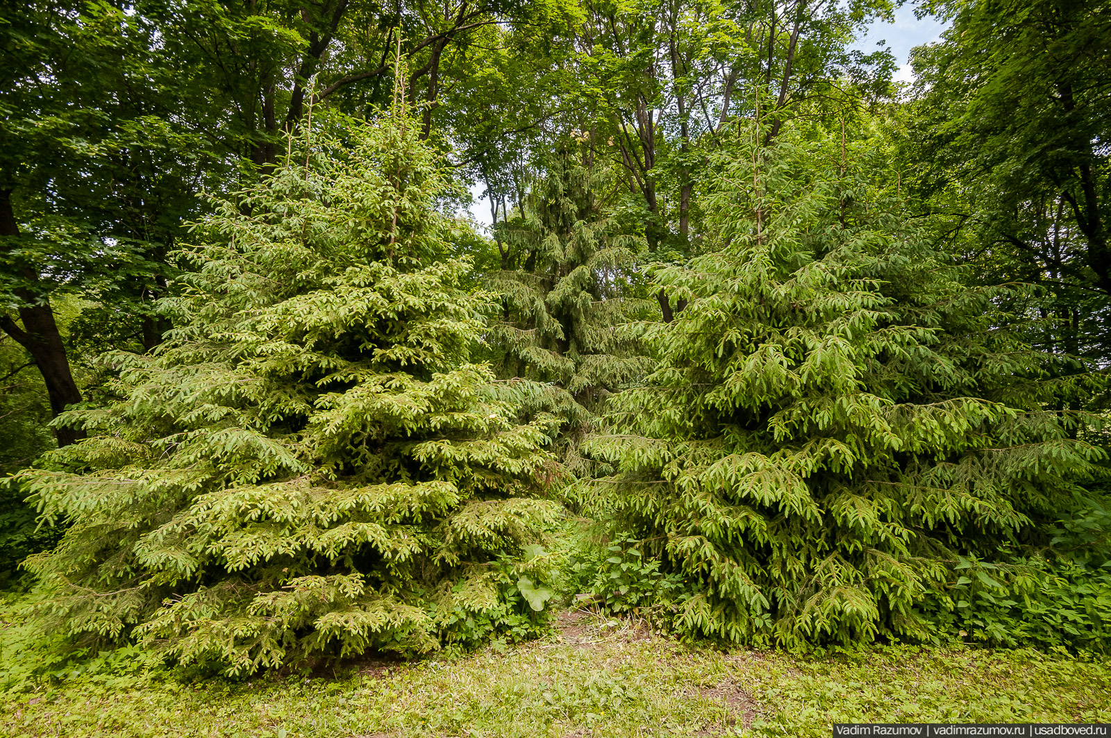 усадьба Дворяниново, Андрей Тимофеевич Болотов, Тульская область