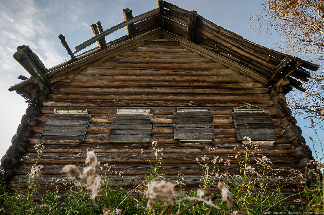 дер. Кучепалда, Архангельская обл.