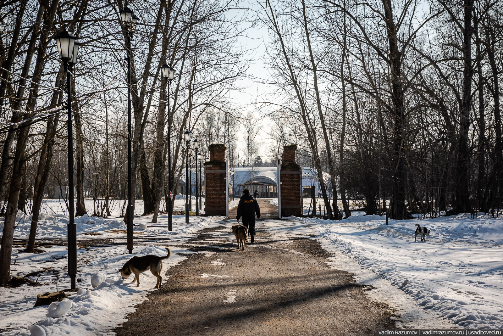 усадьба Гребнево, 2020 год, Андрей Ковалев, реставрация усадьбы