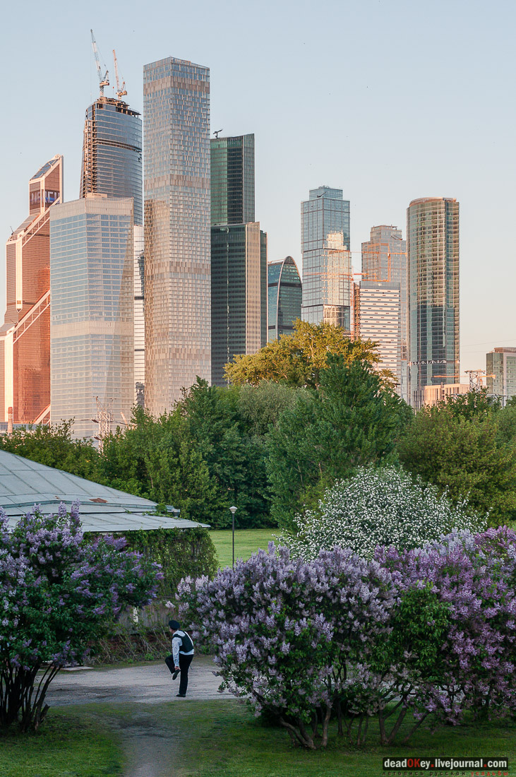 усадьба Фили