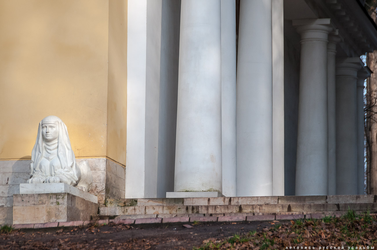 Положительные новости 19