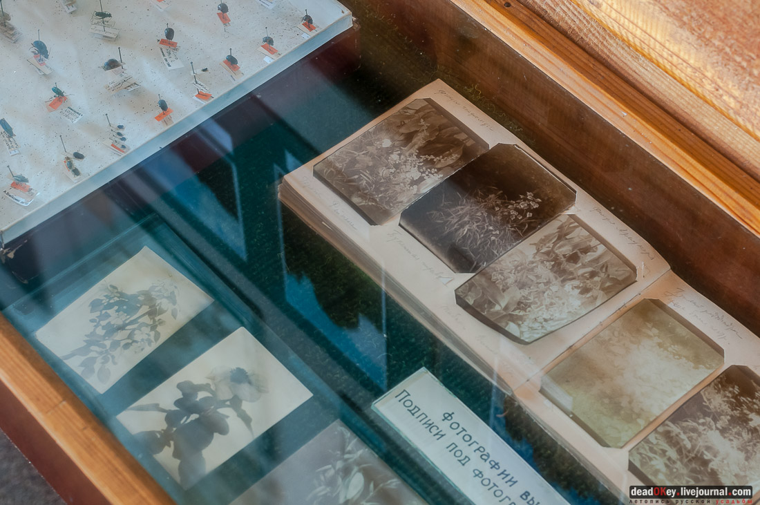 усадьба Рязанка, интерьеры музея Семенова-Тян-Шанского