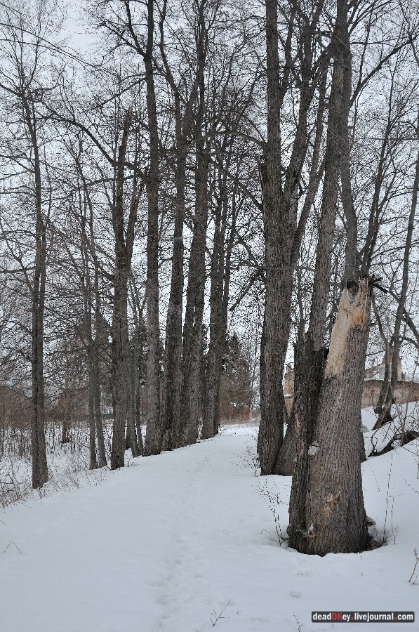 усадьба Троице-Лобаново