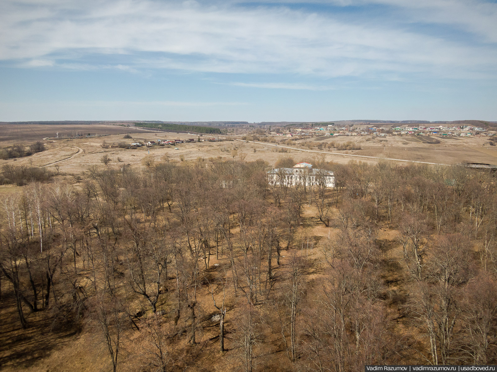 Пролески в усадьбе Репец, Задонский район, Липецкая область
