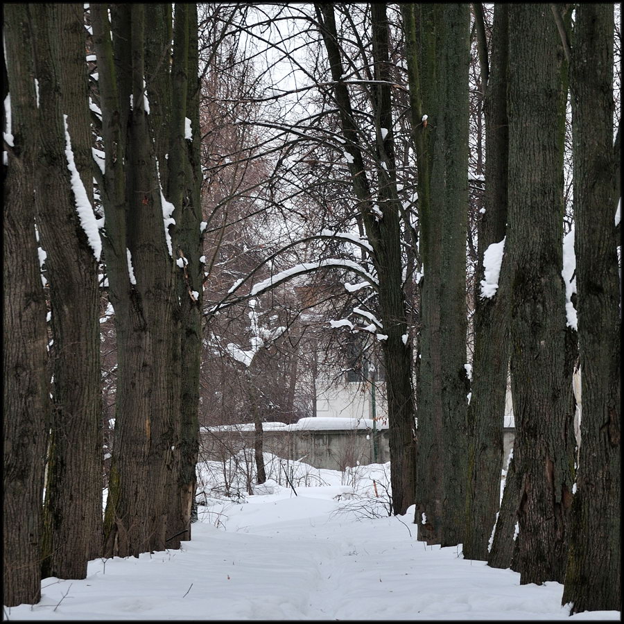 Парковые аллеи в русских усадьбах