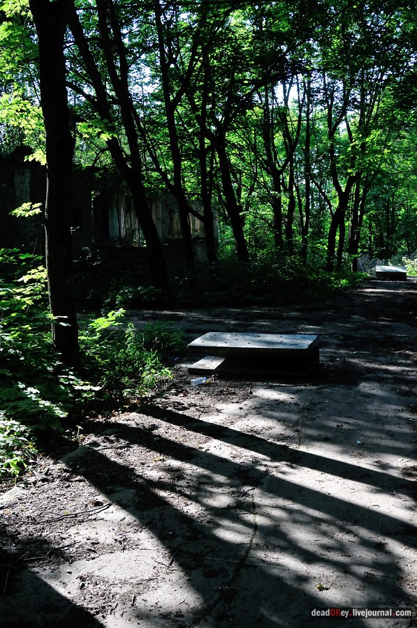 усадьба Шишкино