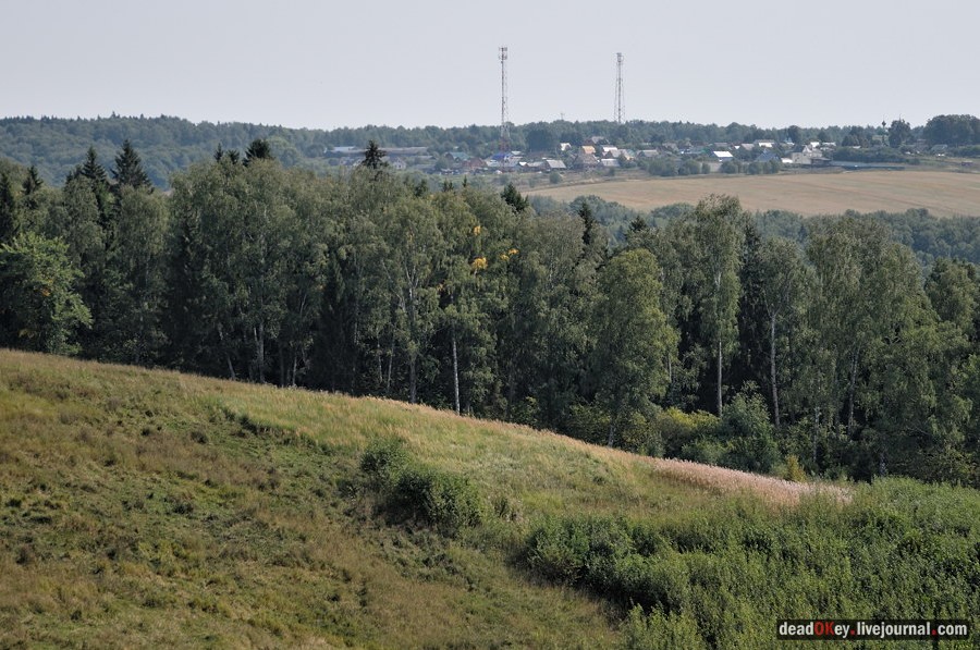 усадьба Хомяково