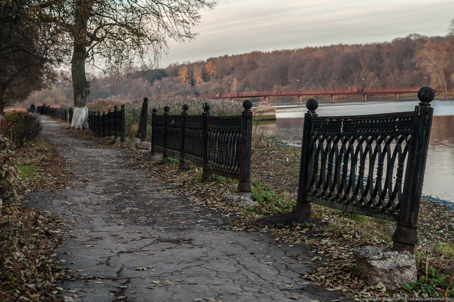 Богородицк, ограда набережной дворцового пруда