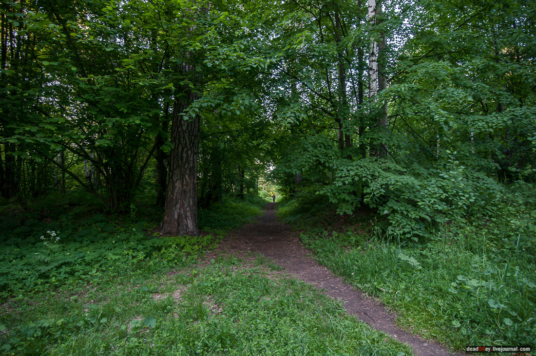 Пейзажный парк в усадьбе Гребнево