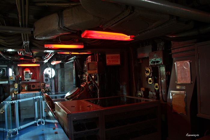 1109989_1IMG_0064 (700x466, 242Kb)