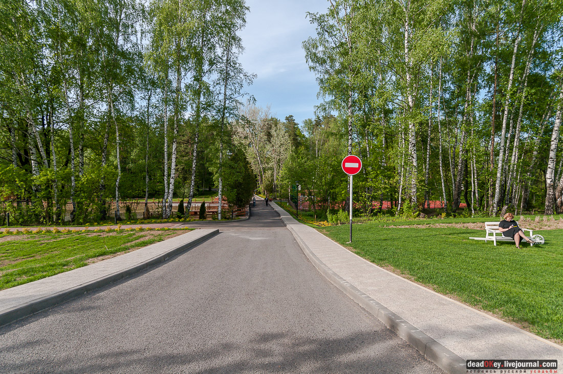 усадьба Мамоново, Сколково, Гусева полоса