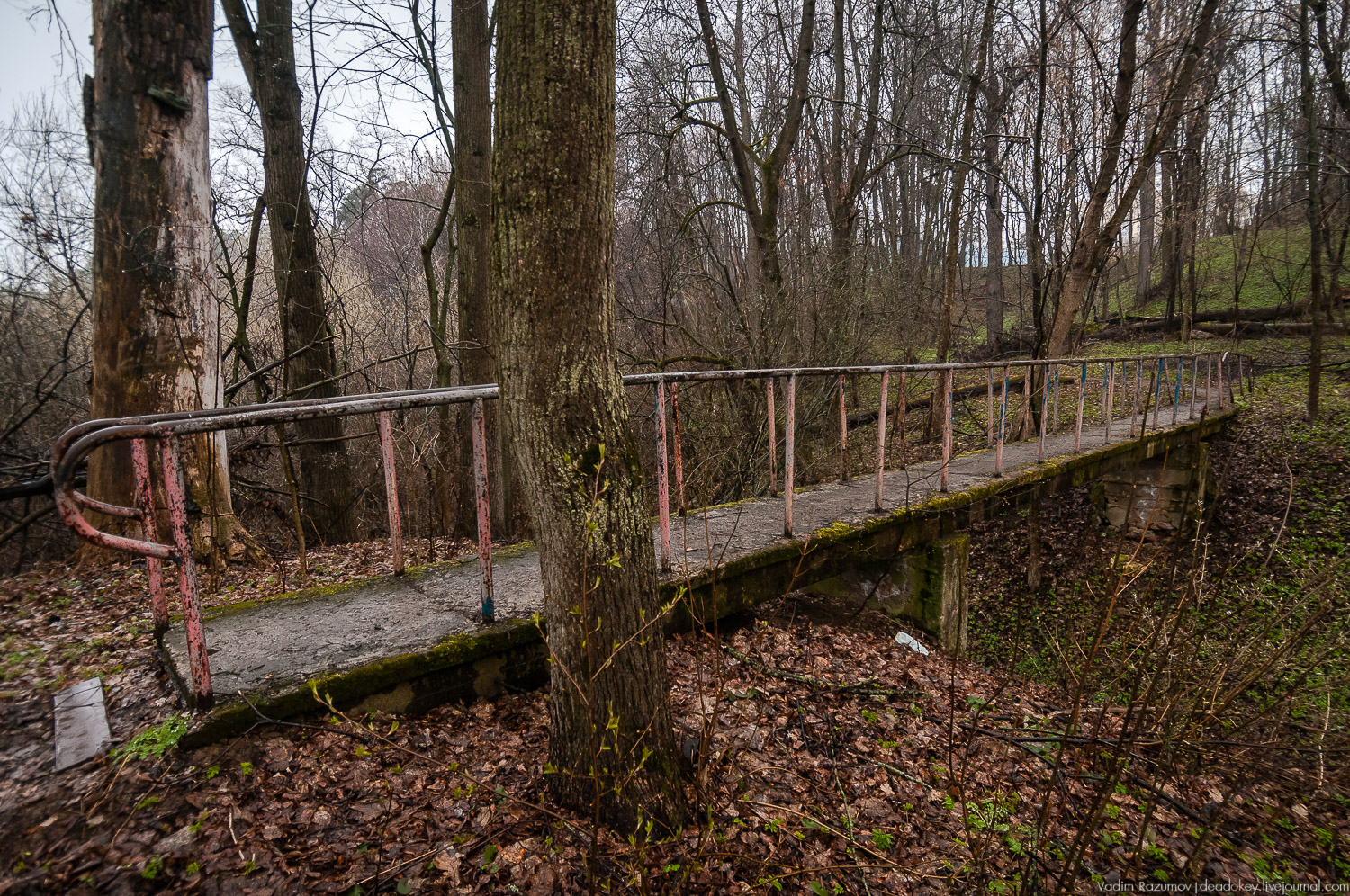 усадьба Петрово (Дурнево, Петрово-Дальнее), Красногорский район, Московская область