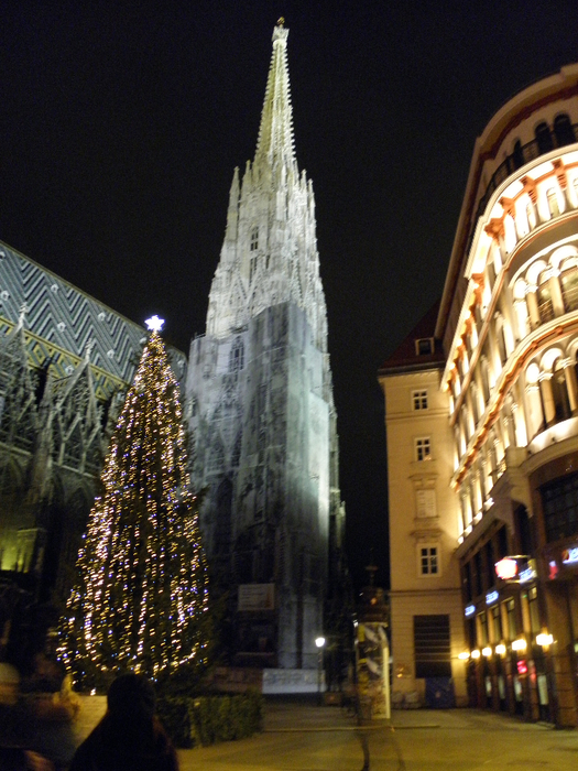 P1010129 (525x700, 488Kb)