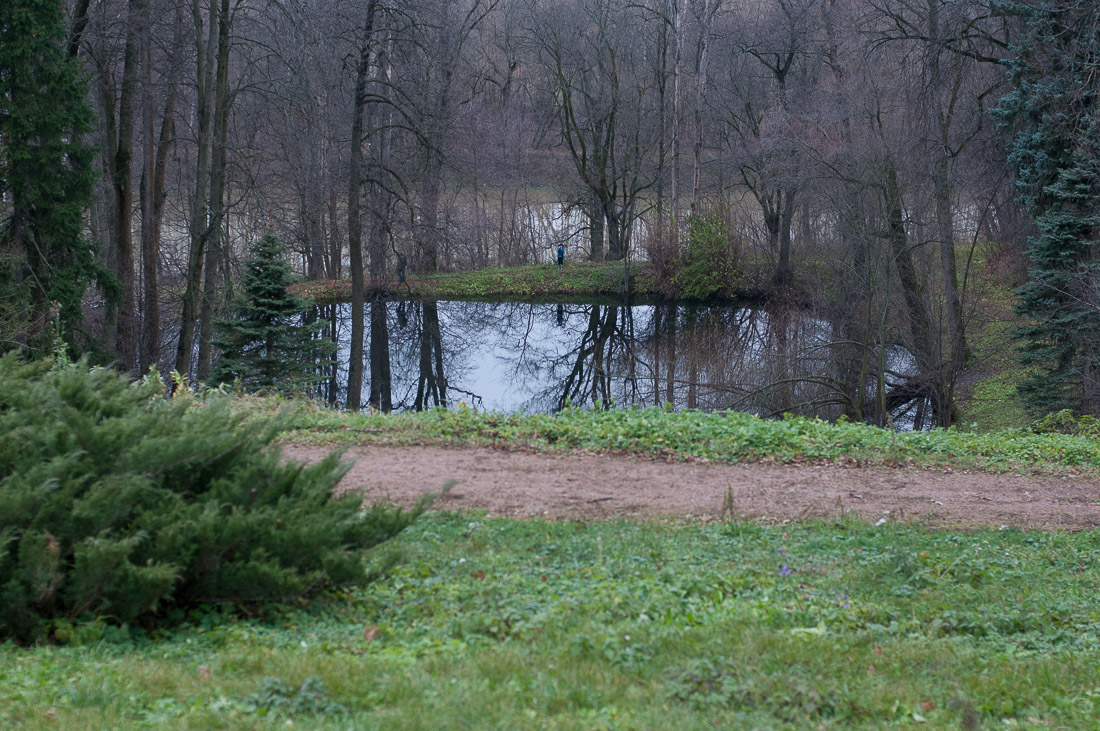 Усадебный экспресс. Горки Ленинские.