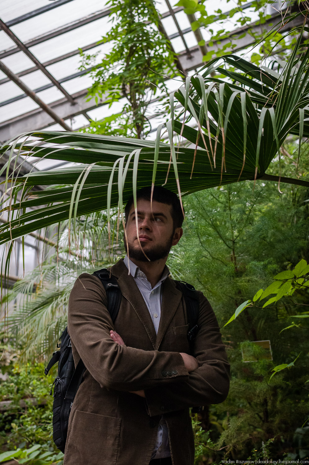 Ботанический сад, фондовая оранжерея, Экоэлектричка, борщевик