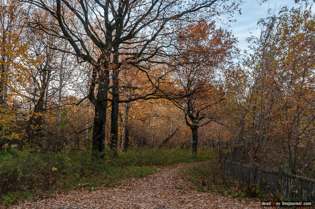 Вокруг Кусково