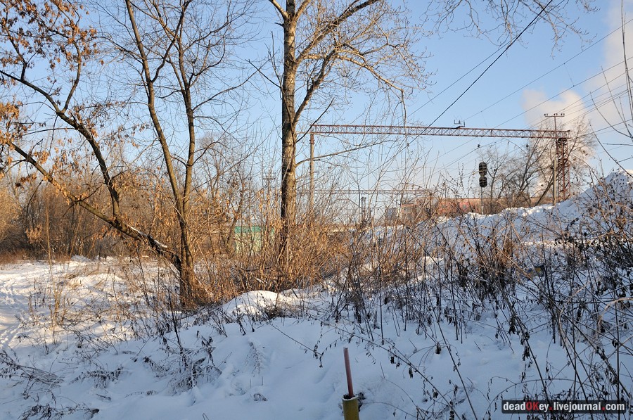 усадьба Люберцы