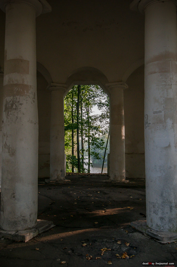 усадьба Марфино - грифонов покрасили