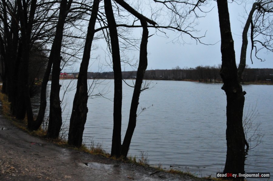 усадьба Каменка