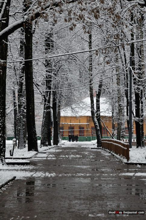 Черкизово
