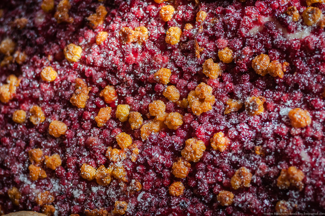 Деревянный север, Архангельская область, Онега