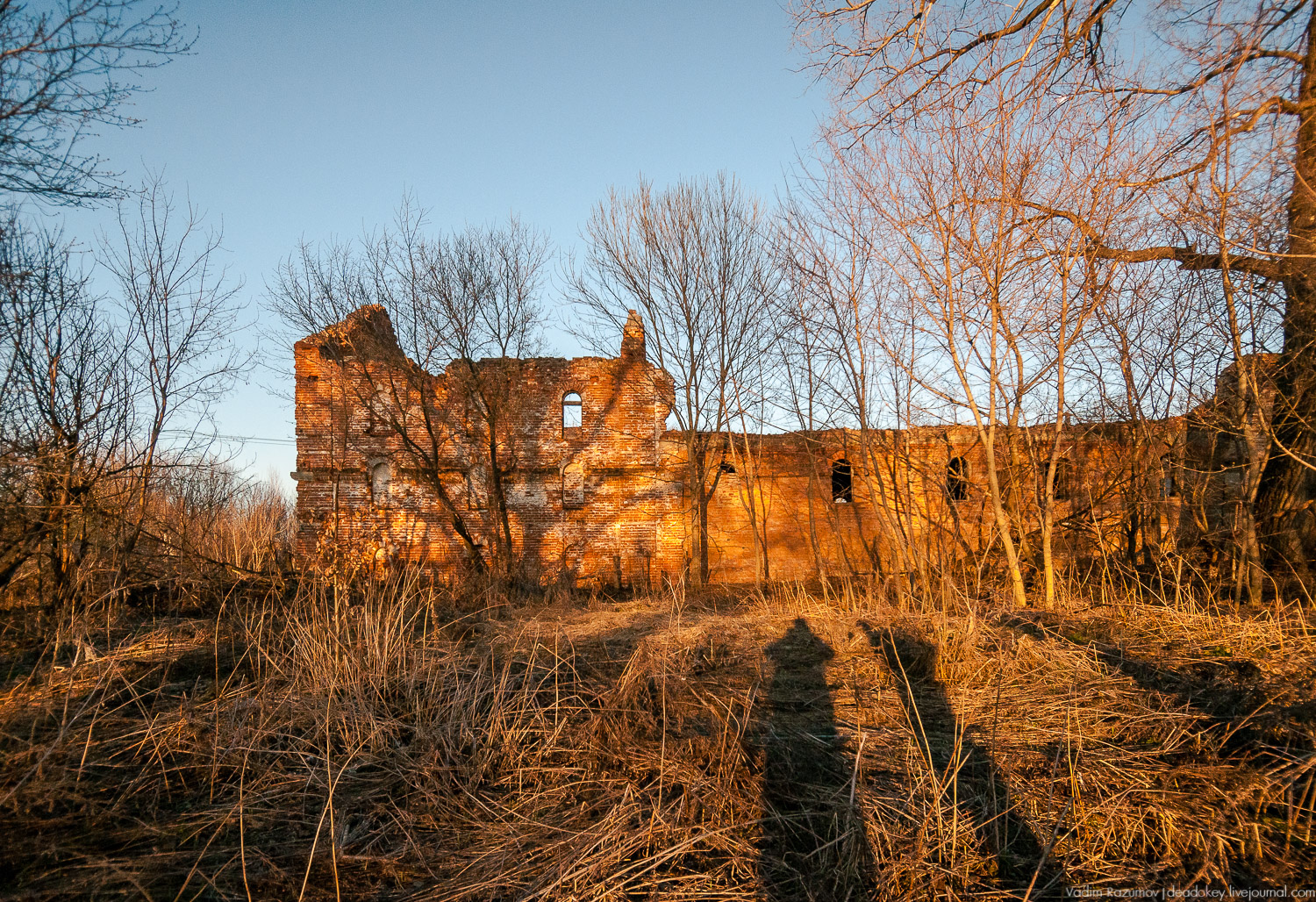 Сахарный завод Бобринских в Богородицке, Тульская область