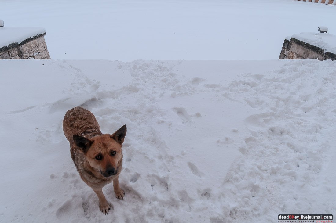 усадьба Знаменское-Раек