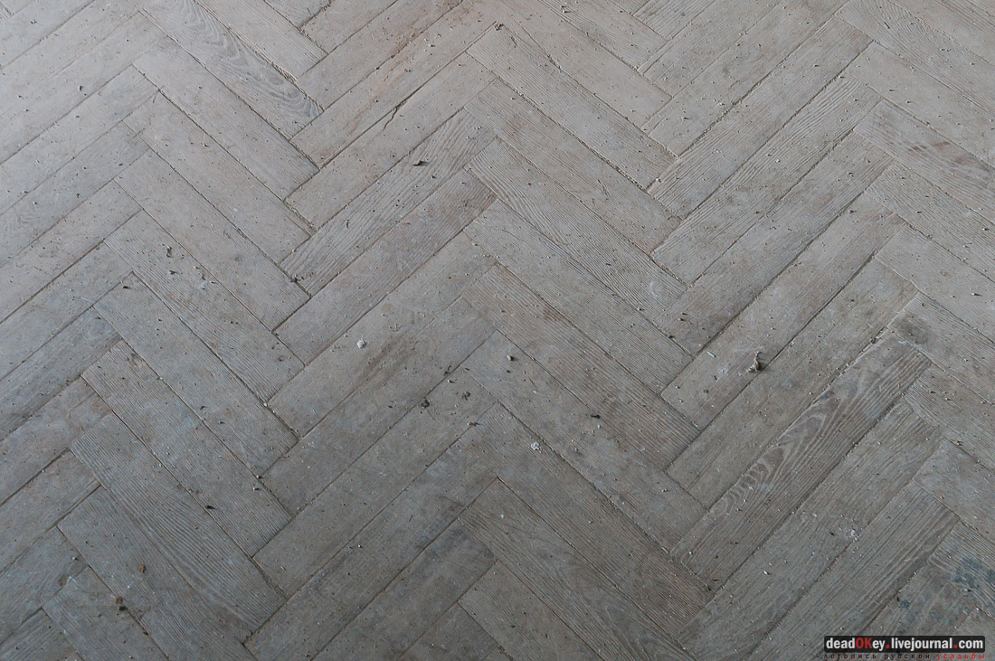 усадьба Мамоново, Сколково, Гусева полоса