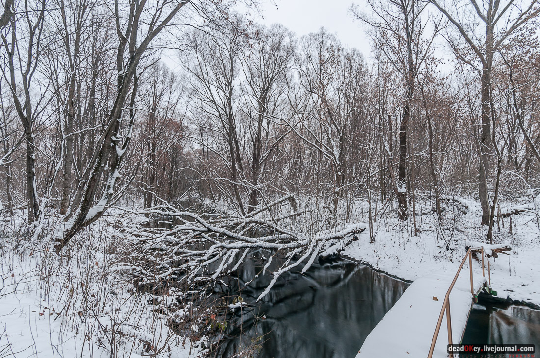 усадьба Рязанка