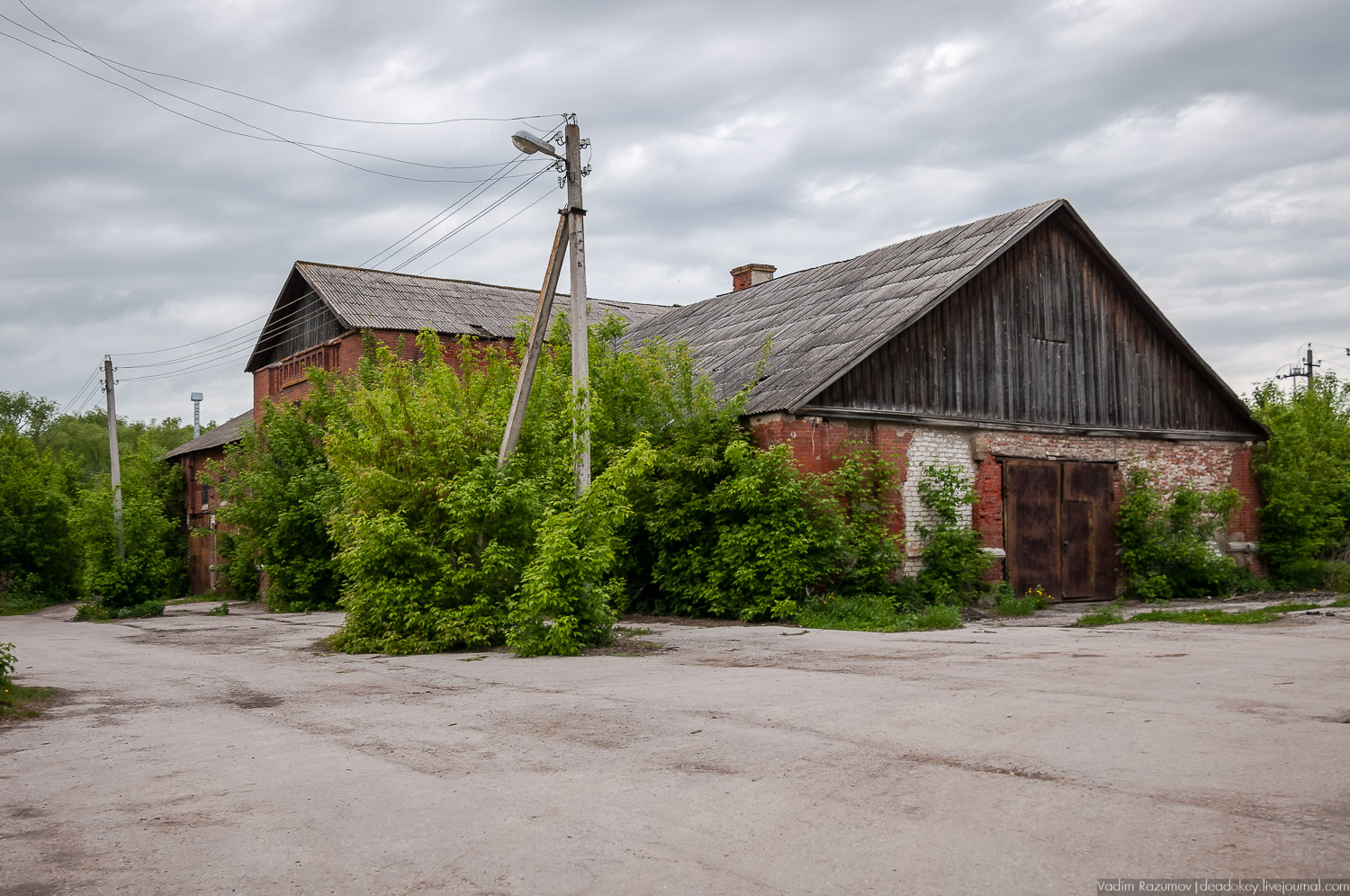 усадьба Старожилово, конезавод