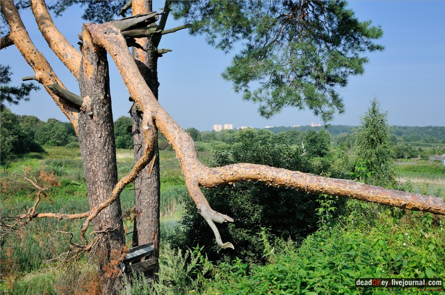 усадьба Городищи (