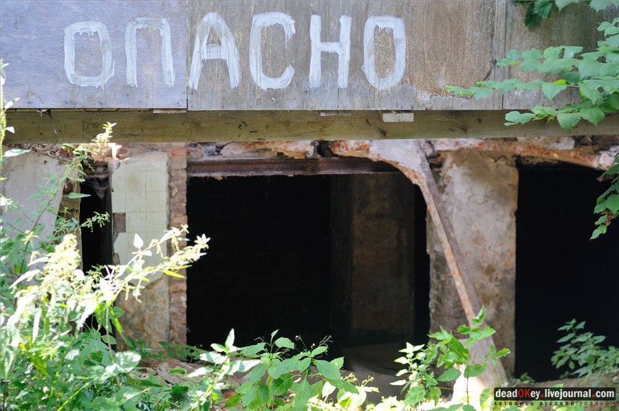 усадьба Глинки Якова Брюса (пансионат Монино)