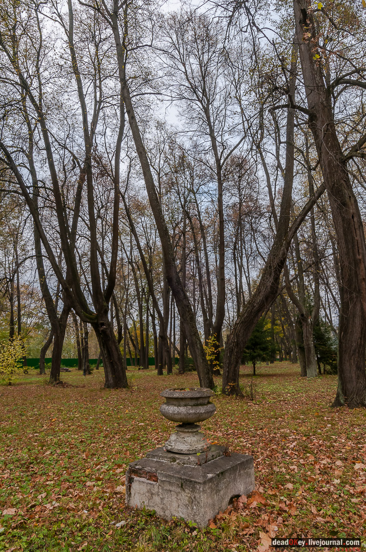 Усадьба Покровское-Рубцово