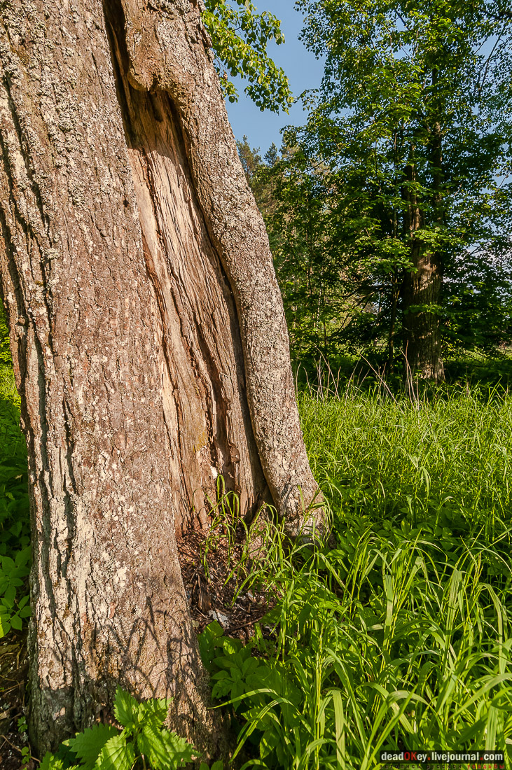 усадьба Вощажниково