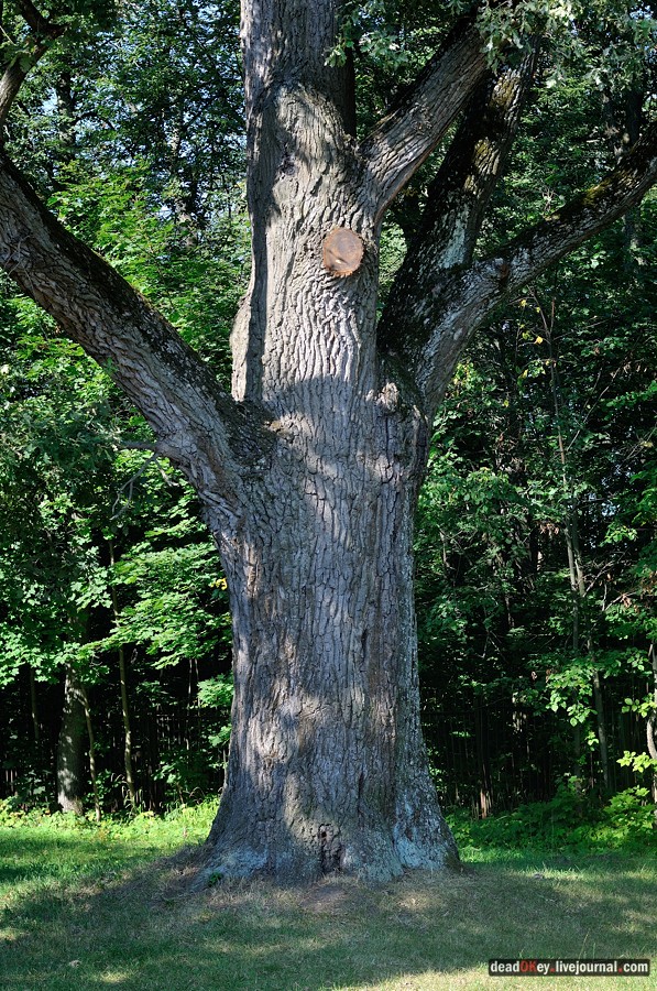 усадьба Денежниково