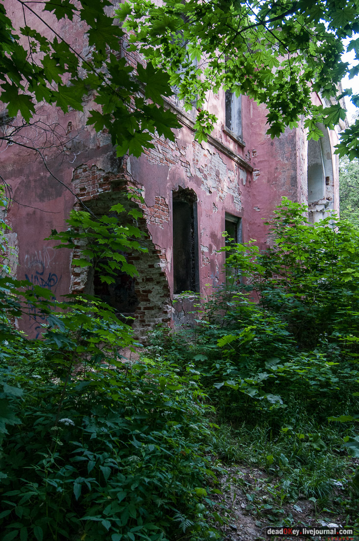 Усадьба Богородское-Кишкино