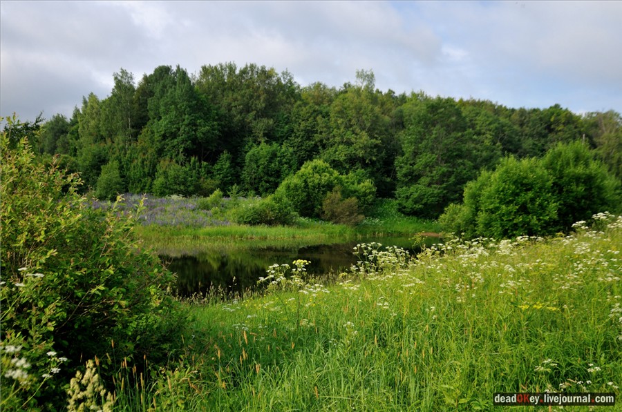 усадьба Кудрявцево