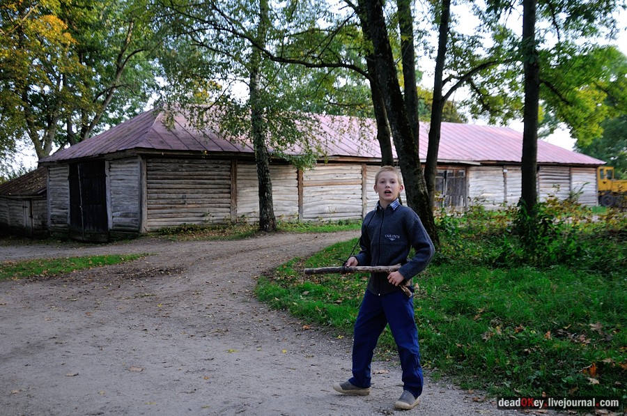 усадьба Ясная Поляна