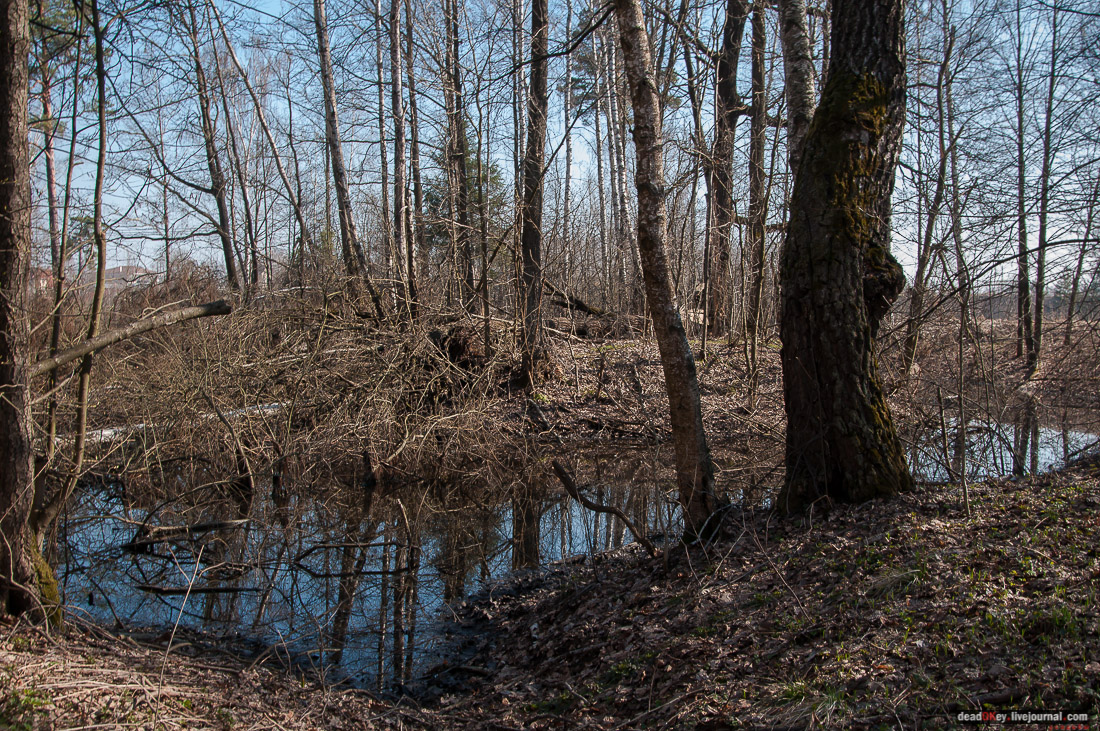 усадьба Савинское (исследование масонского парка)