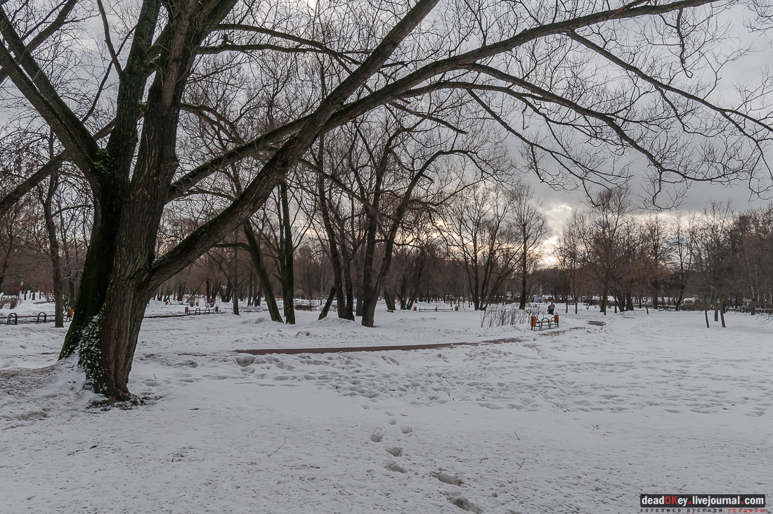 Вокруг Кусково