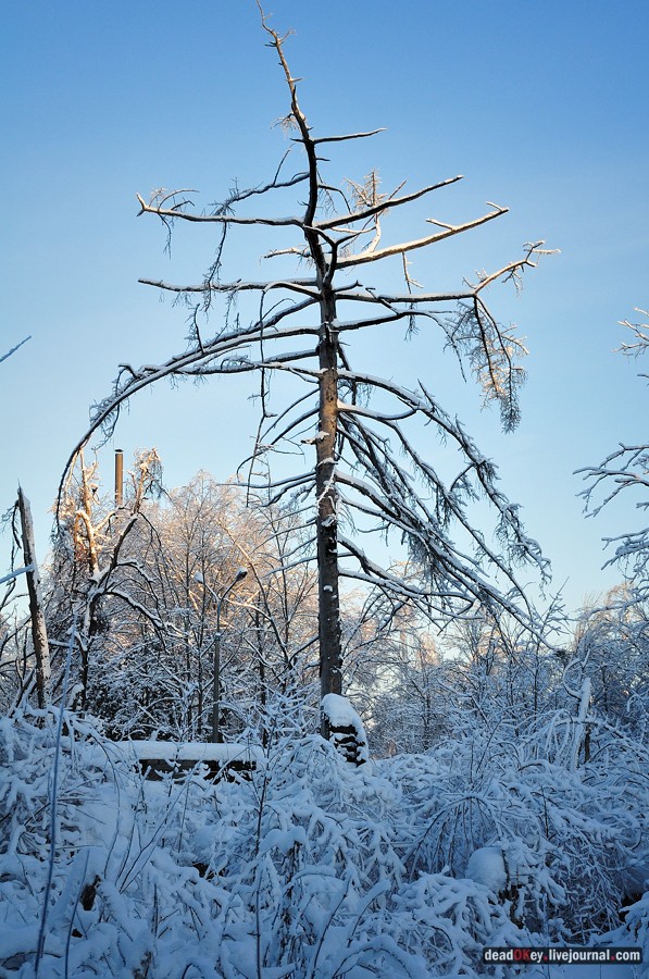 усадьба Полушкино