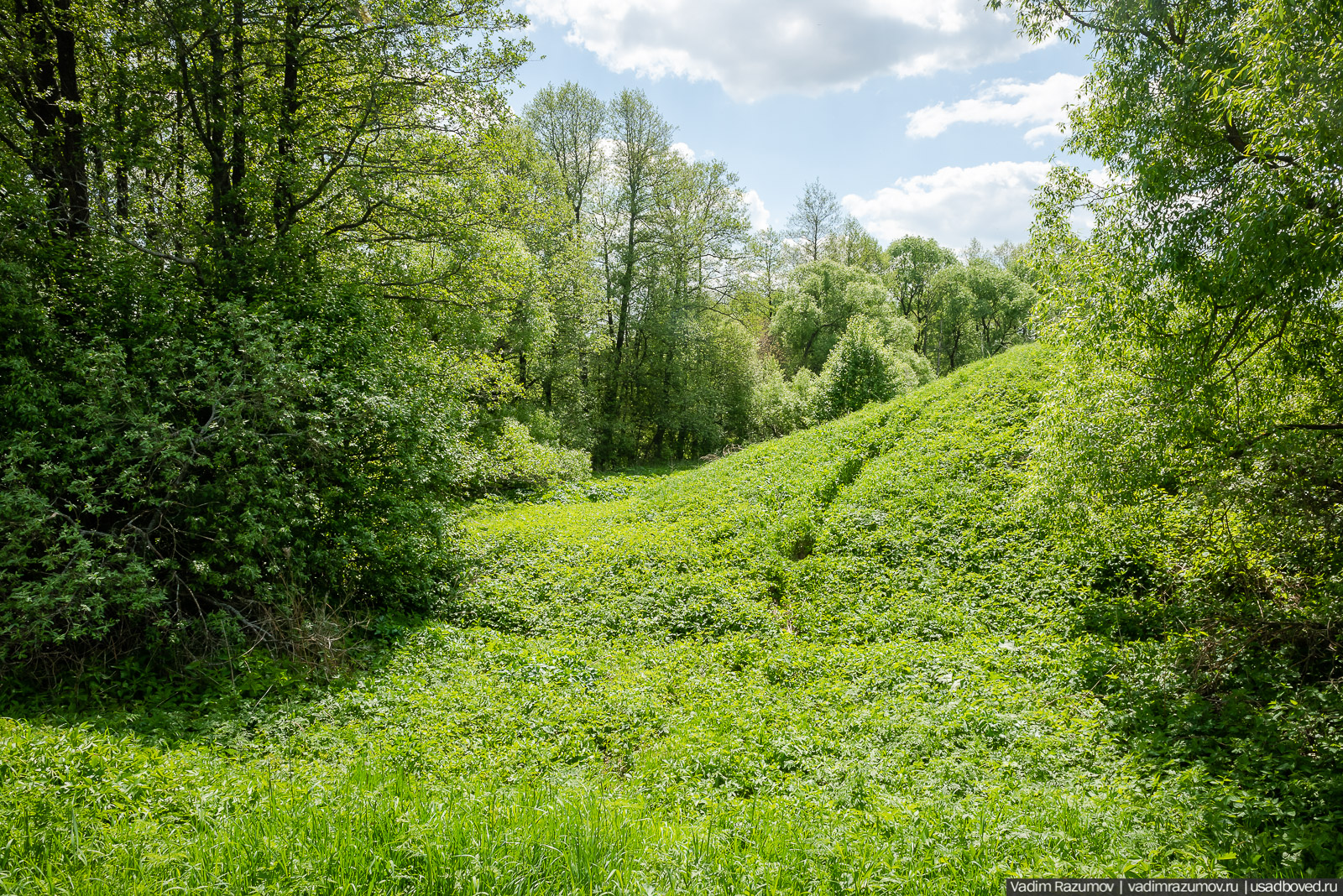 Старое Глазово, могила Василия Баженова, 2021 год