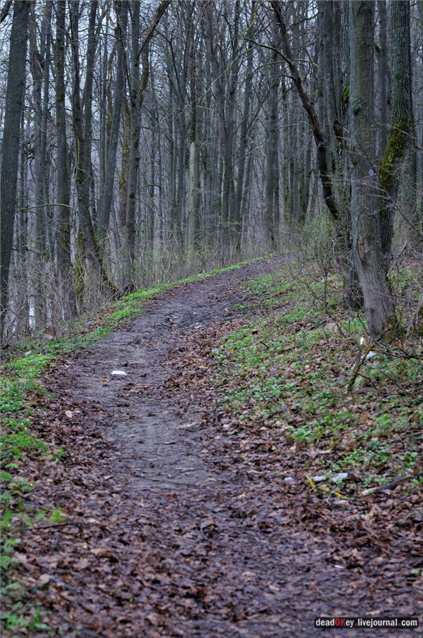 усадьба Полотняный Завод Гончаровых