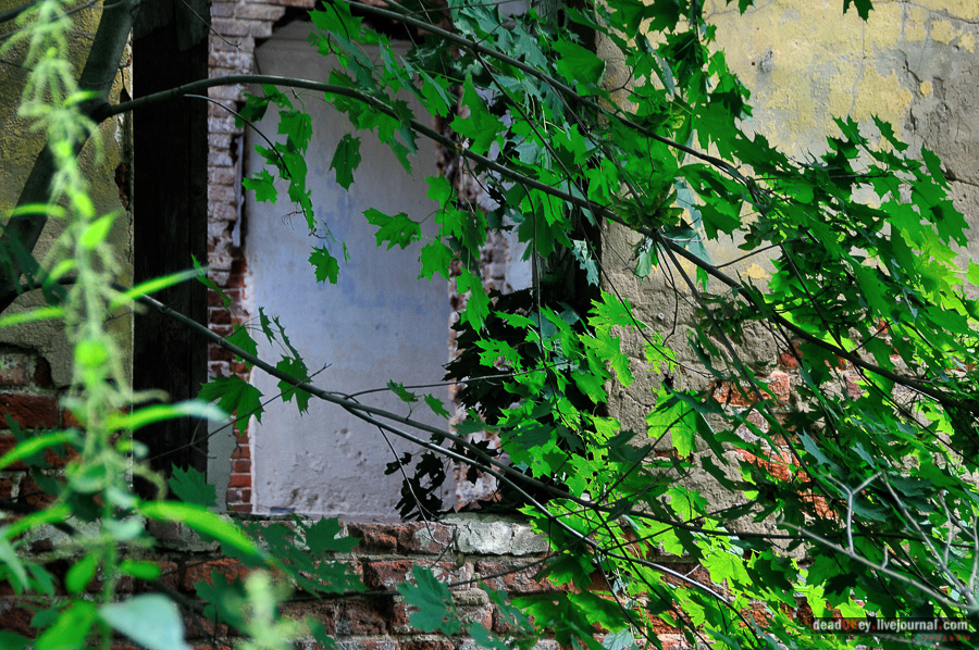 усадьба Матыра