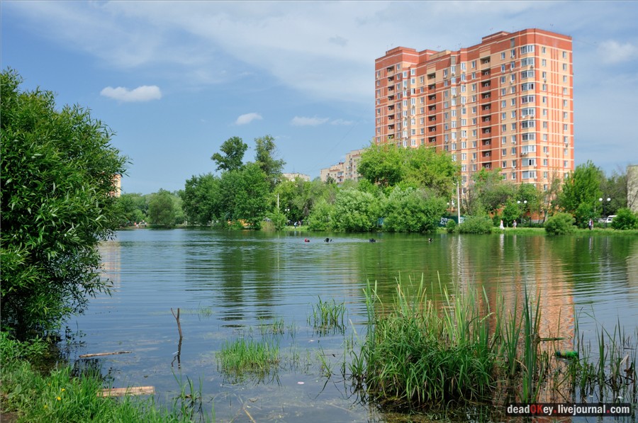 усадьба Наташино, Наташинские пруды