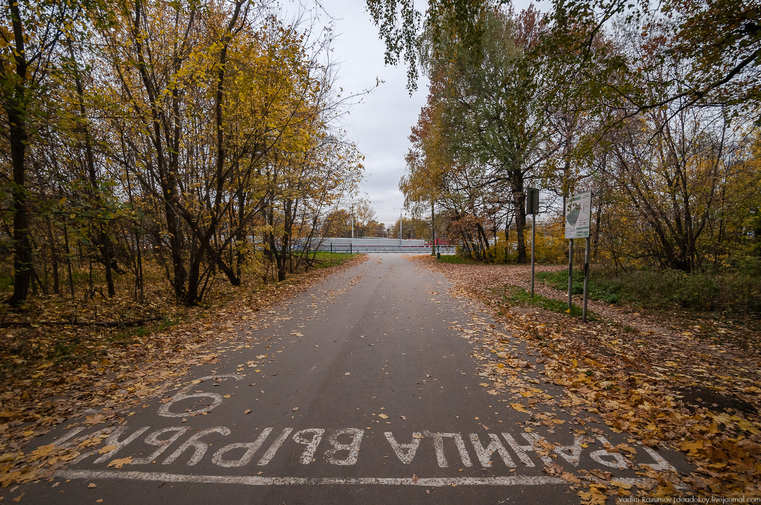 усадьба Кусково, осень 2018 года