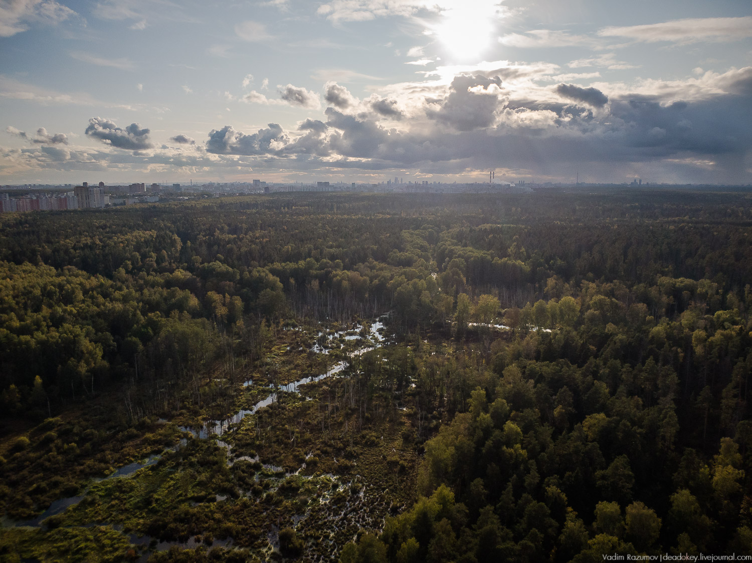 Алексеевская роща, путевой дворец Алексея Михайловича, Лосиный остров, музей охоты