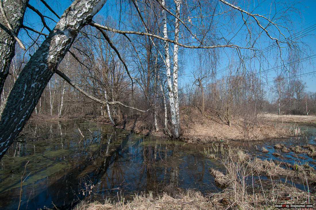 усадьба Савинское (исследование масонского парка)